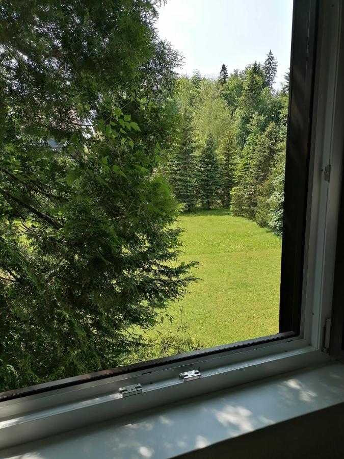 Haus Aschau Lägenhet Bad Ischl Exteriör bild