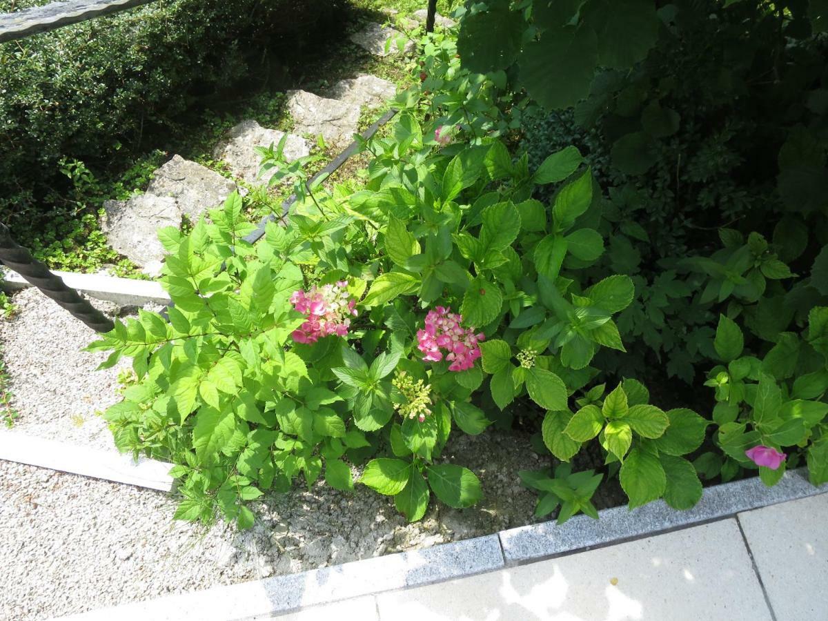 Haus Aschau Lägenhet Bad Ischl Exteriör bild